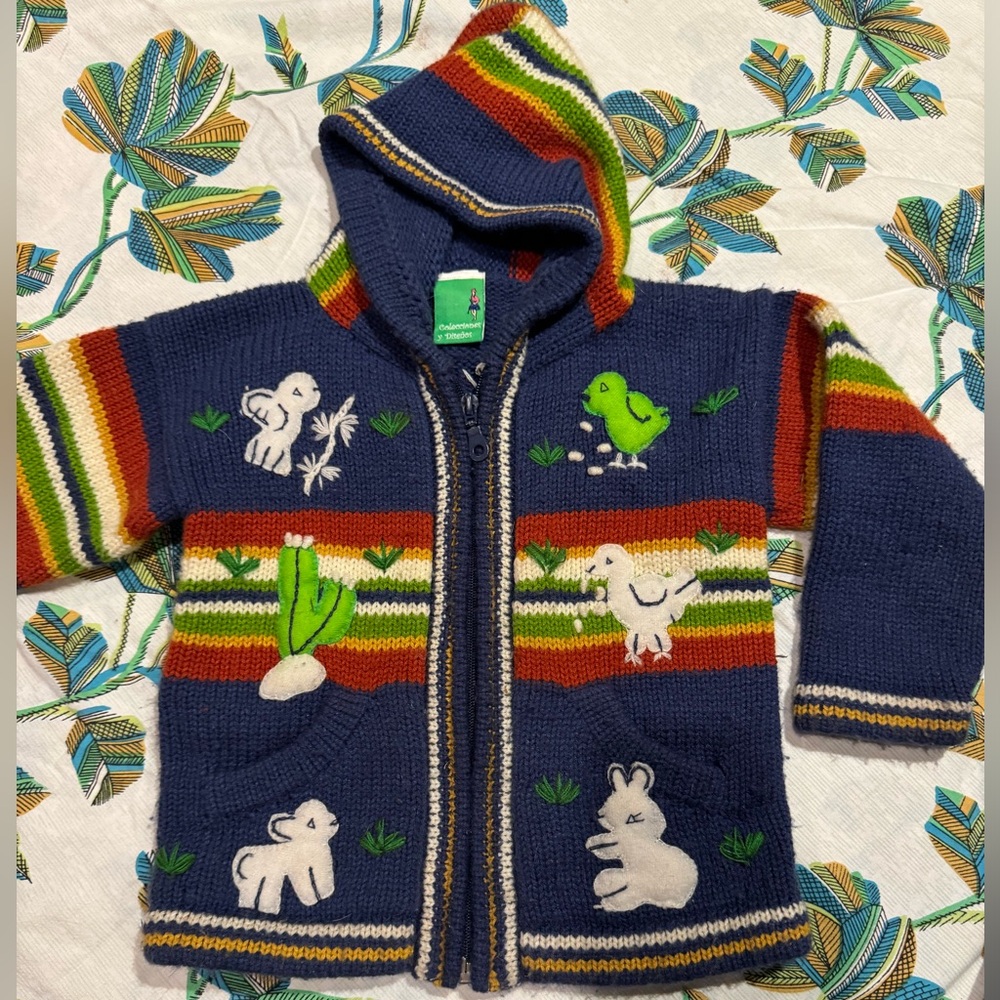Peruvian sweater